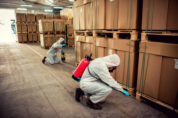 Best Affordable Pest Control Services  in Excelsior Springs, MO