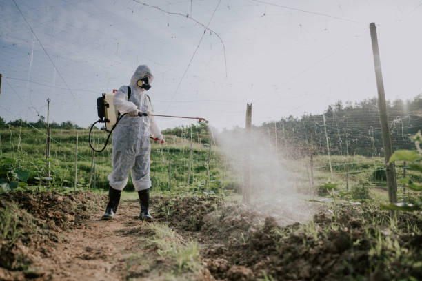 Best Commercial Pest Control Services  in Excelsior Springs, MO