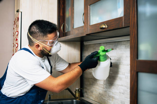 Best Commercial Pest Control Services  in Excelsior Springs, MO