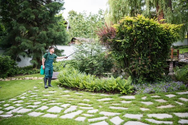 Best Ant Control Services  in Excelsior Springs, MO