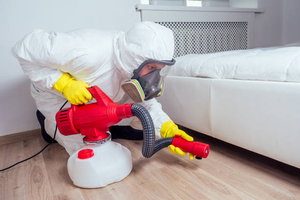Best Mosquito Control Services  in Excelsior Springs, MO