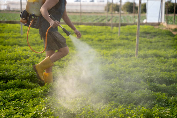 Pest Control for Restaurants in Excelsior Springs, MO