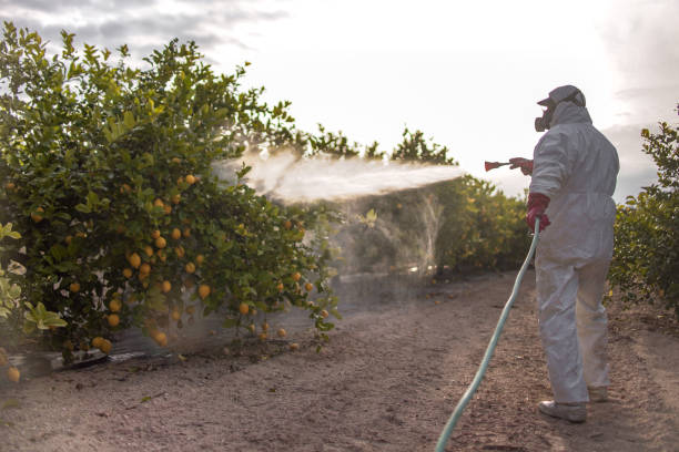 Best Emergency Pest Control  in Excelsior Springs, MO