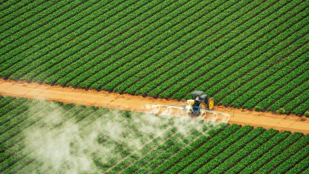 Best Mosquito Control Services  in Excelsior Springs, MO