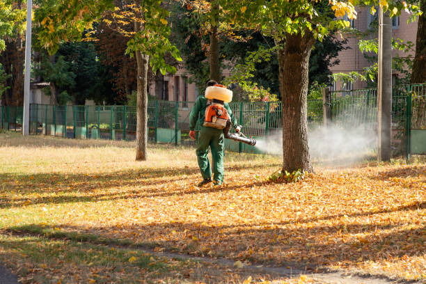 Best Residential Pest Control  in Excelsior Springs, MO