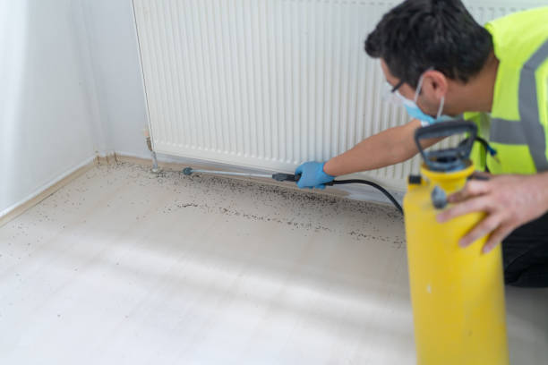 Best Cockroach Control Services  in Excelsior Springs, MO