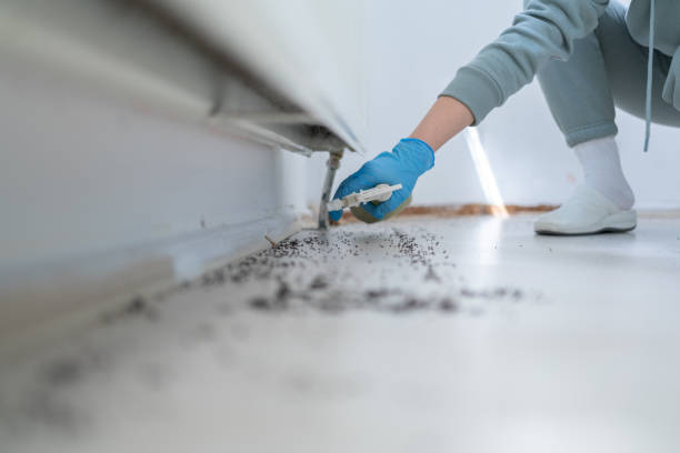 Best Pest Removal Services  in Excelsior Springs, MO
